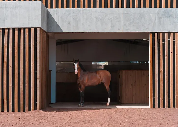 Otel Lusitano Garden