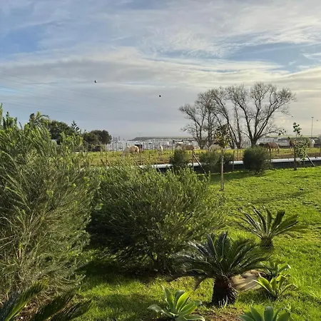 Lusitano Garden Ponta Delgada (Sao Miguel)