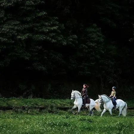 Lusitano Garden 4*