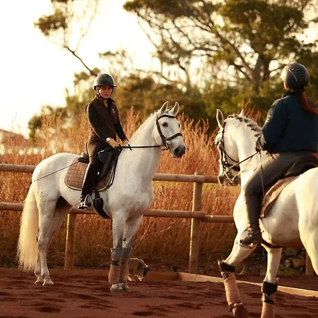 Hotel Lusitano Garden 4*