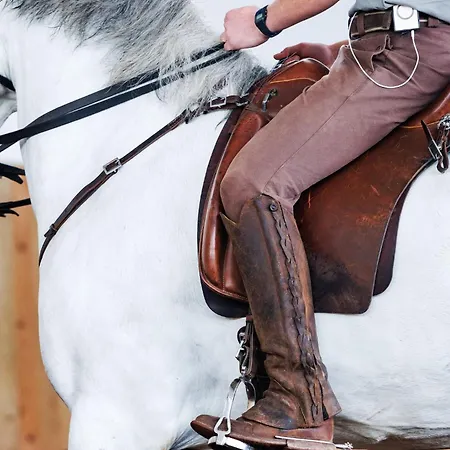 Hotel Lusitano Garden