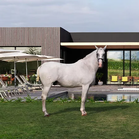 Lusitano Garden Ponta Delgada