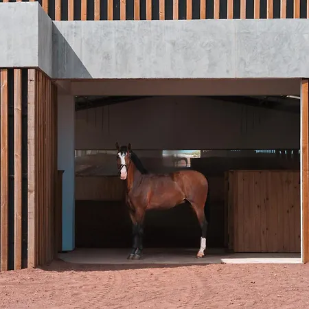 فندق Lusitano Garden