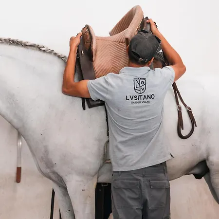 فندق Lusitano Garden 4*