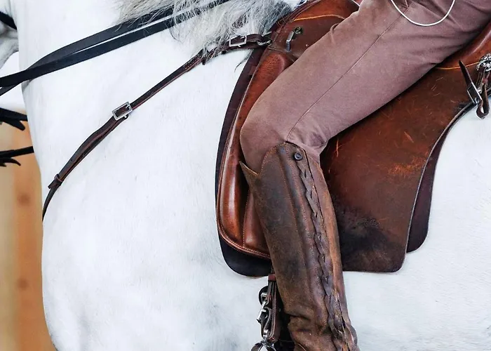 Hotel Lusitano Garden