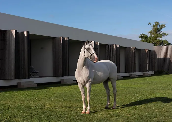 Lusitano Garden Hotel