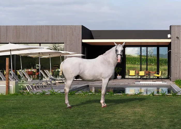 Lusitano Garden Ponta Delgada