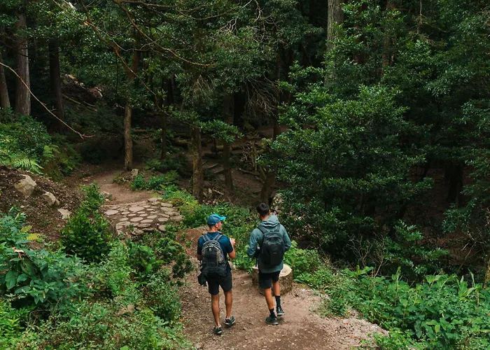 Hotel Lusitano Garden 4*