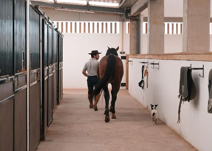 Lusitano Garden Hotel